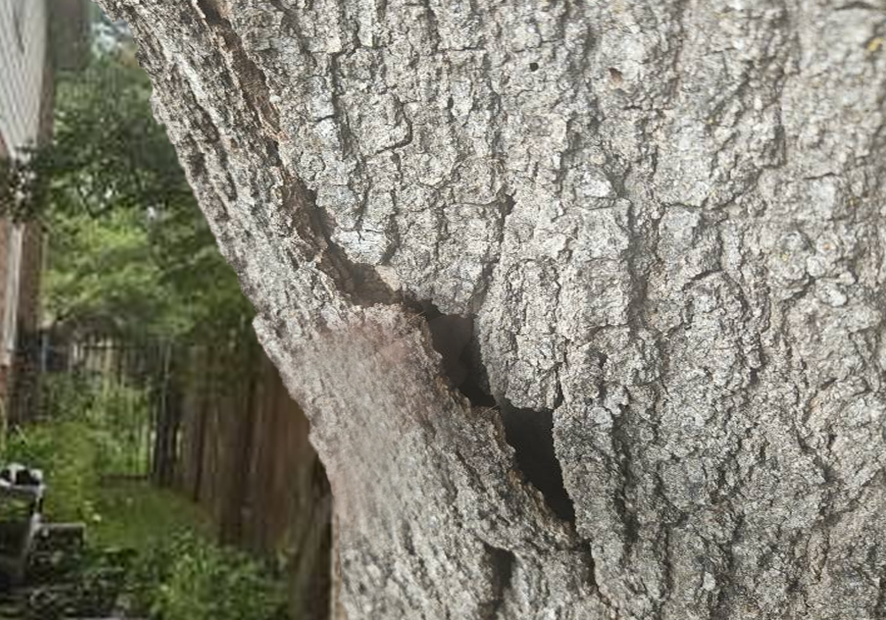 Look for Cracks, Leaning, or Structural Damage